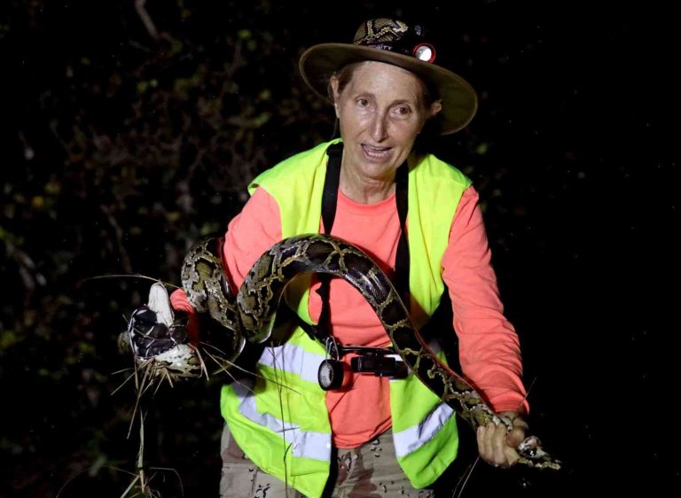 Why Lily Hochberger is the only one in Florida who hunts alligators